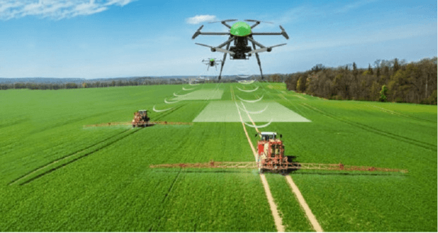 Latest R&D and Technology Increasing Higher Paddy Yields - BusinessToday