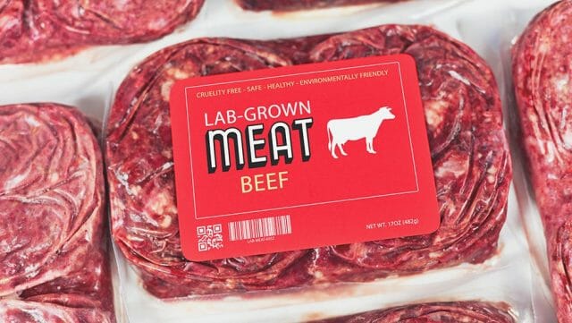 Lab Grown Meat Approved For Human Consumption By The Fda Businesstoday