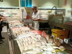 Ministry And Agencies Ensuring Fish Imported Free From Radioactive ...