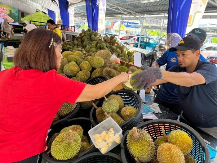 Fresh Durian Export To China Will Not Affect Local Supply