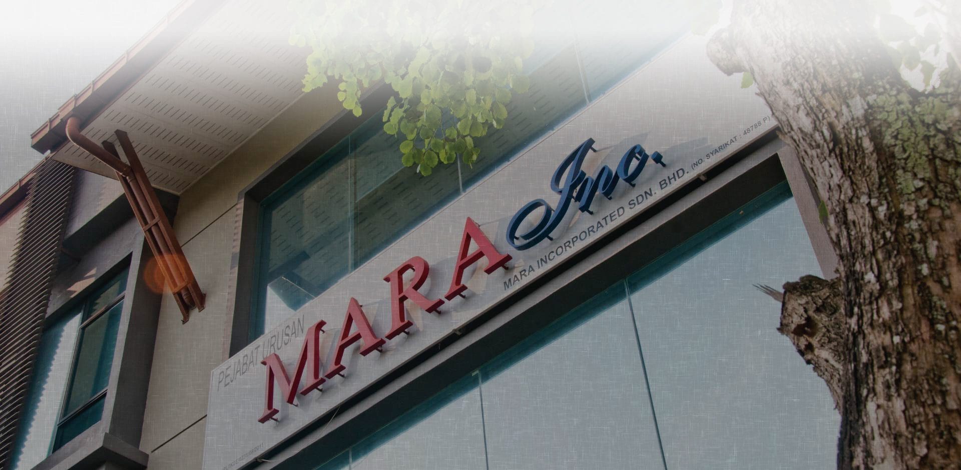 Mara Inc’s Operational Flaws Result In Heavy Losses – BusinessToday